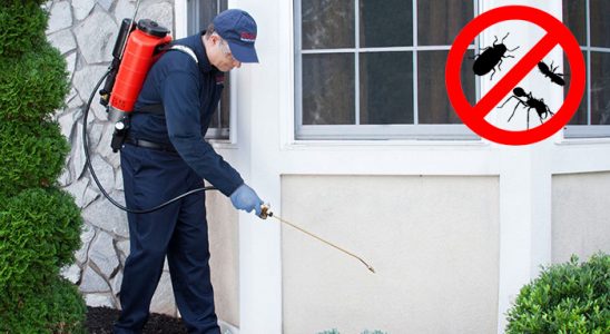 Gümüşpala Haşere İlaçlama böcek ilaçlama ve haşere kontrolü — ilaclama-tr.com